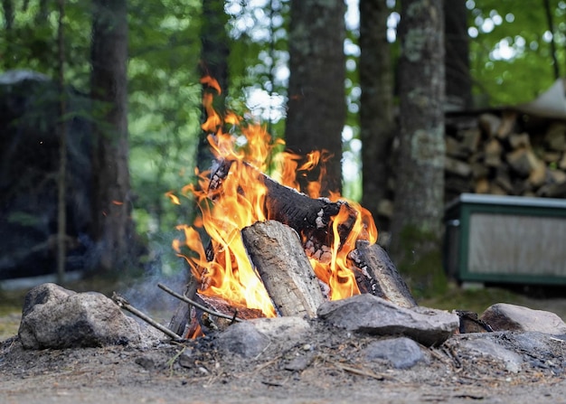 Free photo closeup shot of a bonfire