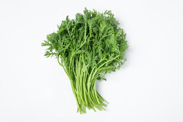 Closeup shot of a bunch of fresh chinese mugwort isolated on white background