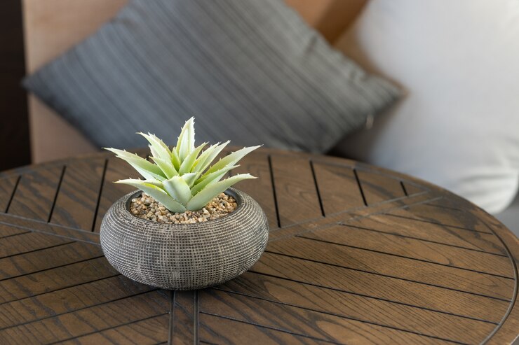Free Photo closeup shot of a cactus on a wooden table with pillows