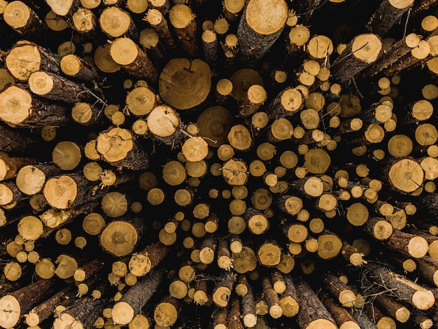 Closeup shot of chopped firewoods