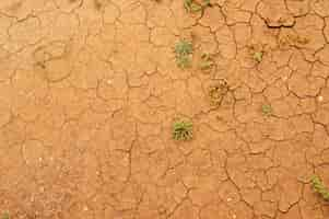 Free photo closeup shot of a cracked ground surface