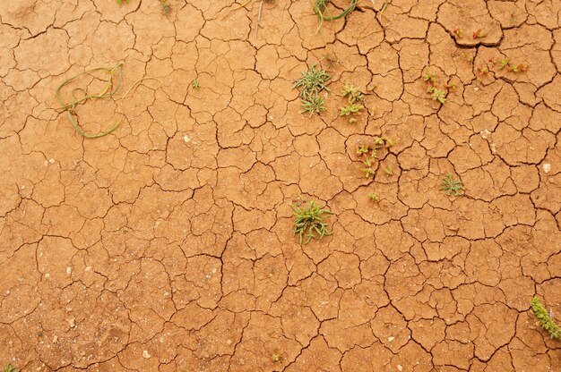 Closeup shot of a cracked ground surface