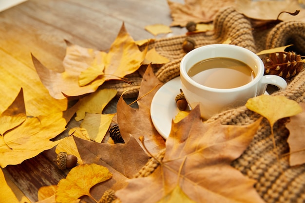 Closeup shot of a cup of coffee and autumn leaves