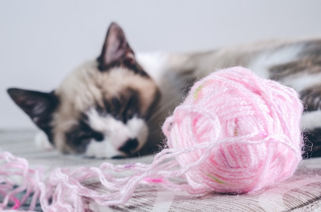 ウールのピンクのボールの近くで眠っているかわいい茶色と白猫のクローズアップショット