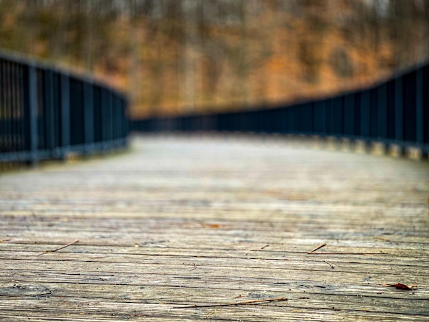 Free photo closeup shot of details on a wooden path