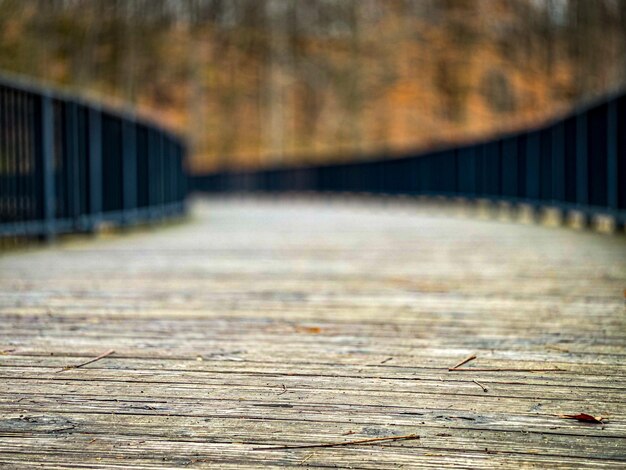 Closeup shot of details on a wooden path