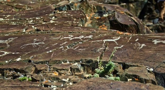 Closeup shot of drawings on stones of prehistoric humans before civilization