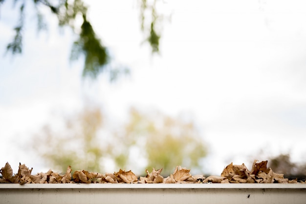 Free photo closeup shot of dry brown leaves that fell on a white surface with a blurred background