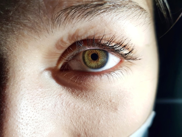 아름다운 녹색 눈을 가진 여성의 근접 촬영 샷