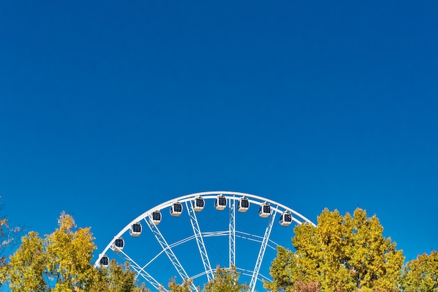 Крупным планом снимок колеса обозрения возле деревьев под голубым ясным небом