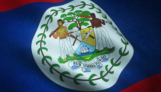 Closeup shot of the flag of Belize with interesting textures