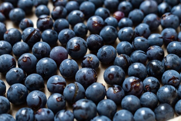 Closeup shot of fresh Isabella grapes