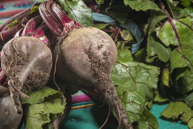 Closeup shot of fresh organic beets