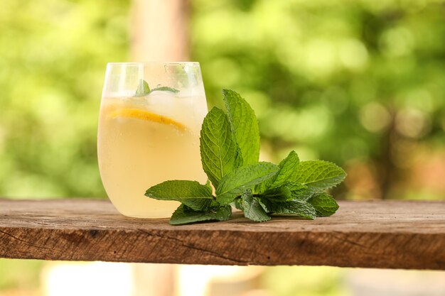 Closeup shot of a glass of cold lemonade with mint leaves