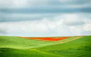 Free photo closeup shot of a green and red field under a cloudy sky during daytime