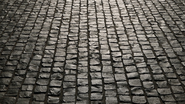 Closeup shot of the ground in the park