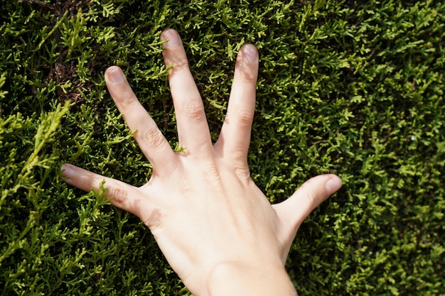 Closeup shot of hand on green grass