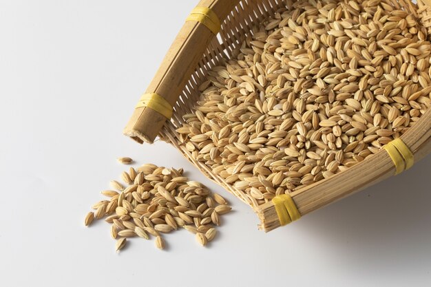 Closeup shot of a heap of oats grains