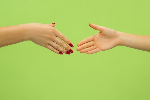 Closeup shot of human holding hands isolated on green