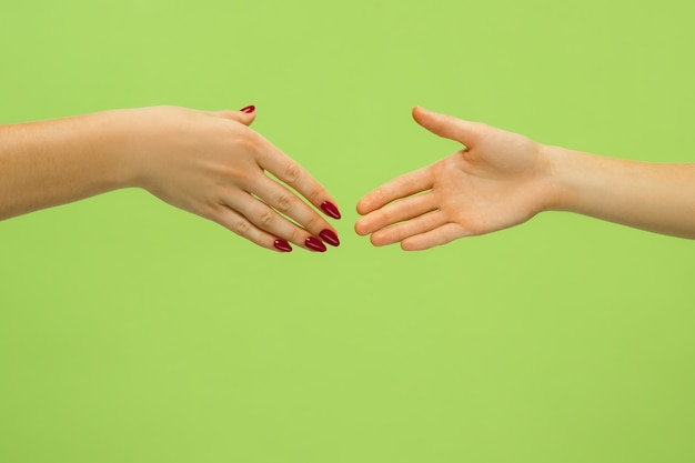 Closeup shot of human holding hands isolated on green