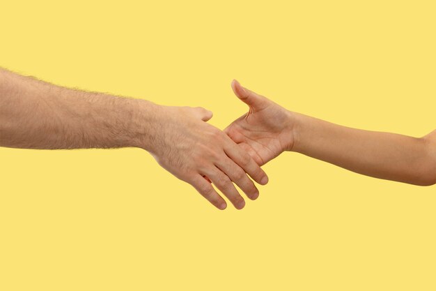 Closeup shot of human holding hands isolated on yellow