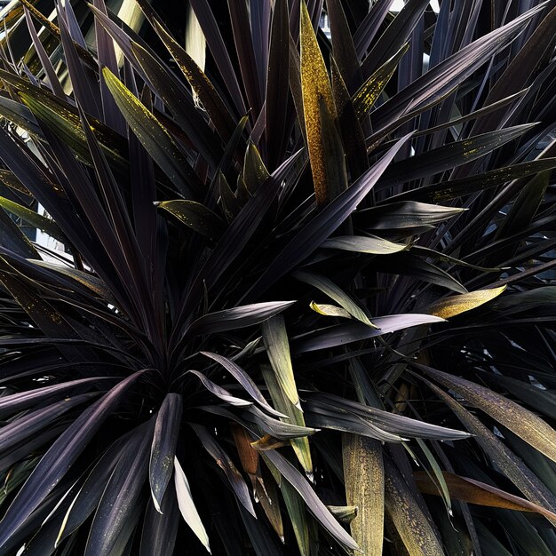 Closeup shot of the leaves of several plants growing next to each other