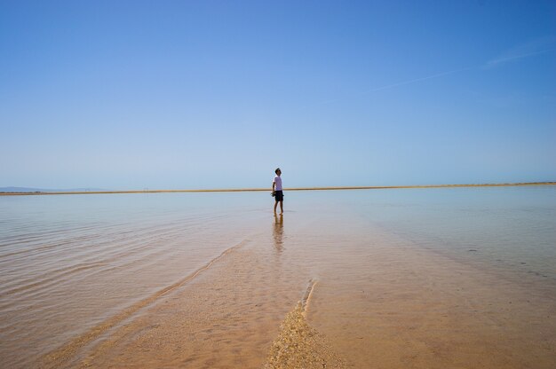 Closeup shot of a male walking on the beach on a sunny day