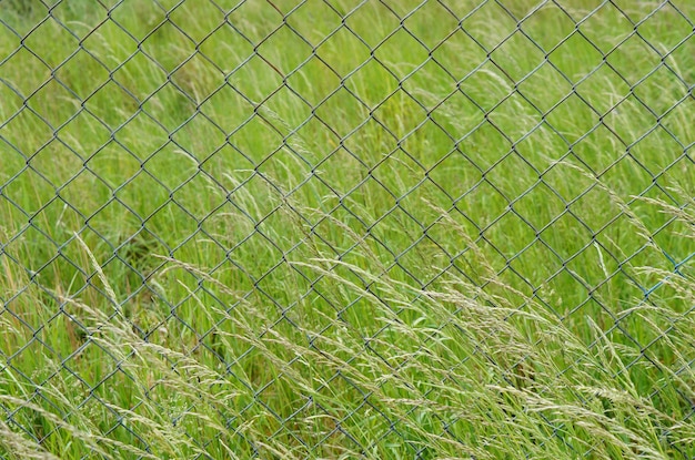 Closeup shot of a metal fence in the field full of green grasses