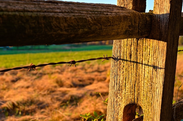 Бесплатное фото Снимок крупным планом колючей проволоки на деревянном заборе в поле под солнечным светом
