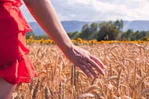 Бесплатное фото Крупным планом снимок женщины в красном платье на пшеничном поле в солнечный день