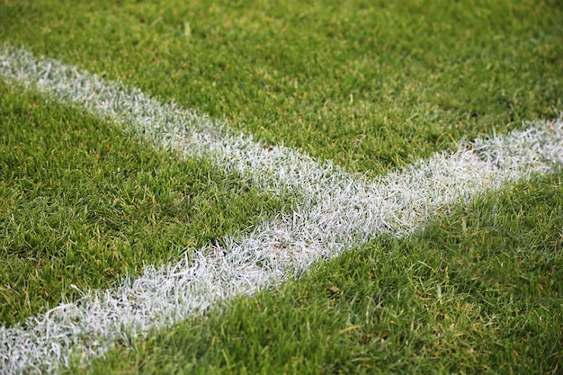 Closeup shot of painted white lines on a green soccer field in germany