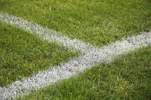 ドイツの緑のサッカーフィールドに塗られた白い線のクローズアップショット