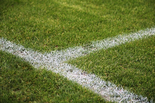 ドイツの緑のサッカーフィールドに塗られた白い線のクローズアップショット
