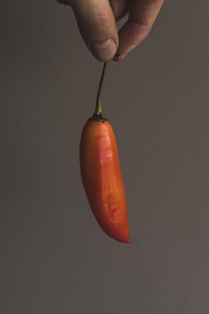 Closeup shot of a person hand holding orange hot chili pepper on gray surface