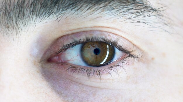 Closeup shot of a person's brown eye