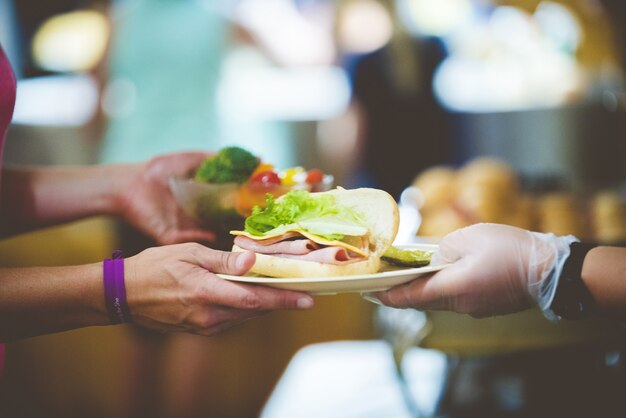 Closeup shot of a person serving sandwich on a white plate