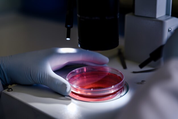 Closeup shot of a person studying coronavirus particles with a microscope