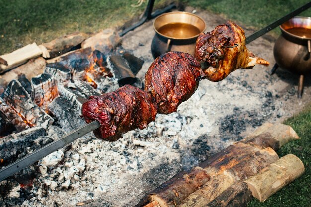 Closeup shot of pieces of barbecue on the fire made with coals