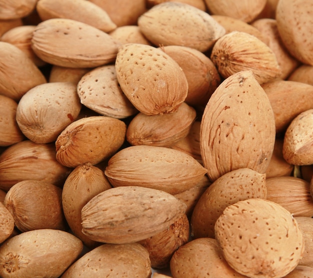 Closeup shot of a pile of organic nuts