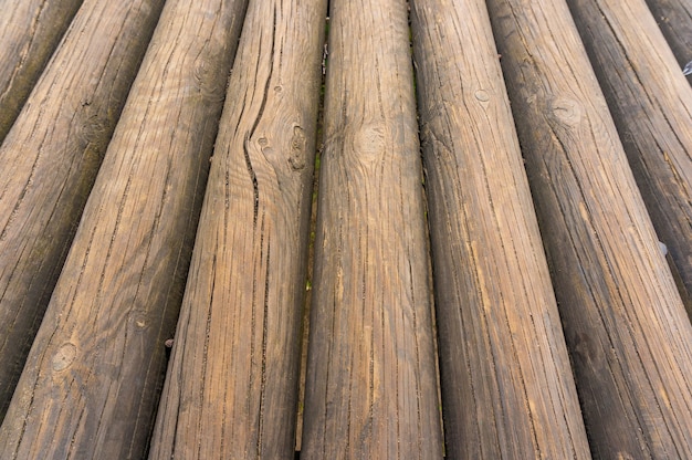 Closeup shot of a pile of tree logs