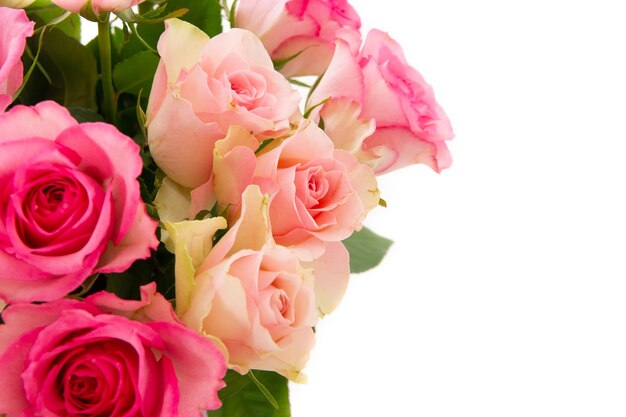 コピースペースと白い背景で隔離のピンクのバラの花束のクローズアップショット