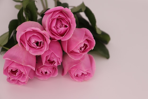 Closeup shot of a pink roses bouquet on a white background