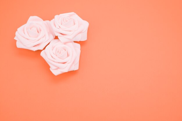 Closeup shot of pink roses isolated on a coral background with copy space