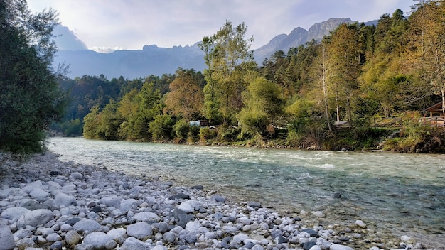 Снимок крупным планом реки, протекающей в осеннем лесу