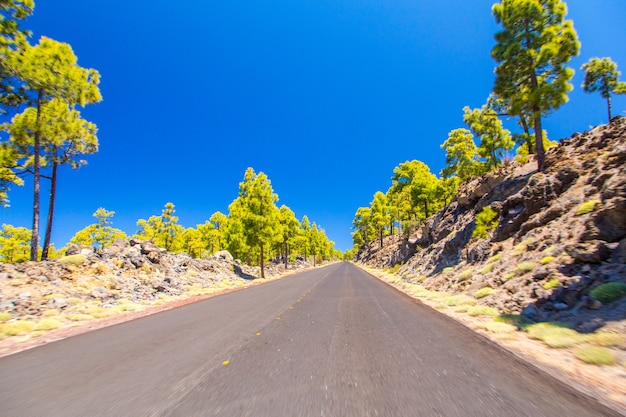 Free photo closeup shot of a road