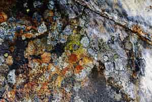 Free photo closeup shot of a rock texture with colorful natural marks