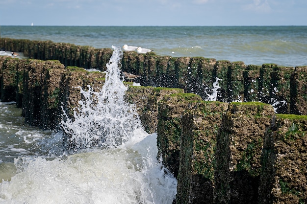 Free photo closeup shot of rocks with moss on top in a wavy sea