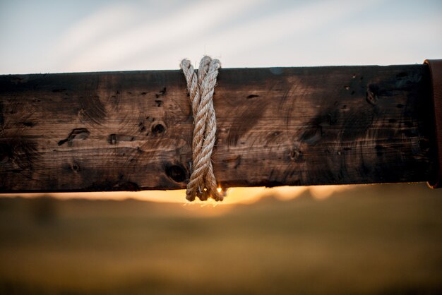 Closeup shot of a rope wrapped around a wooden plant