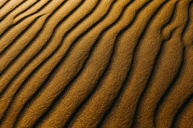 Closeup shot of sand dunes on a beach