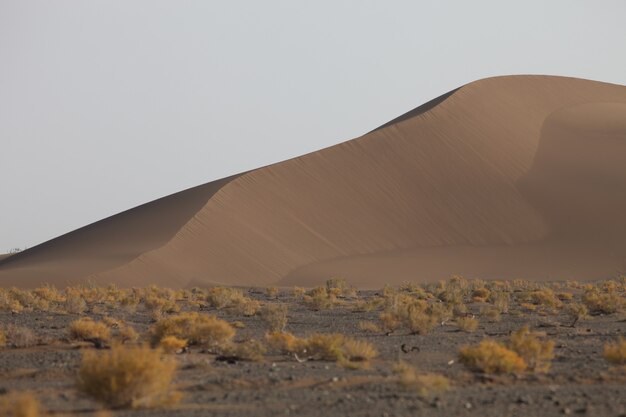 Closeup shot of sand dunes in Xijiang, China